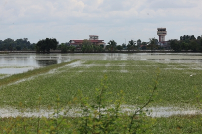 KLIA, Alor Star, and coastal airports are most at risk from bird strikes as cases rise — here’s why, according to CAAM